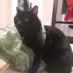 Meet your Posher, Melissa